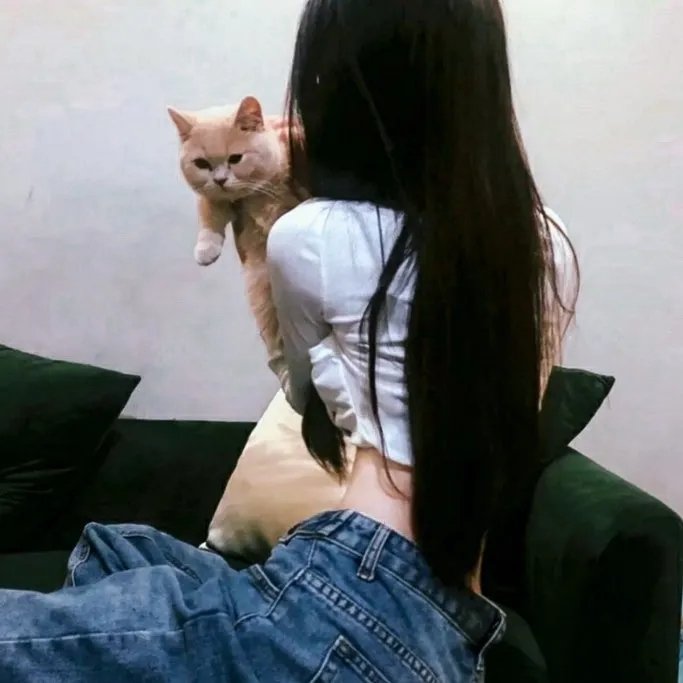 送子鸟